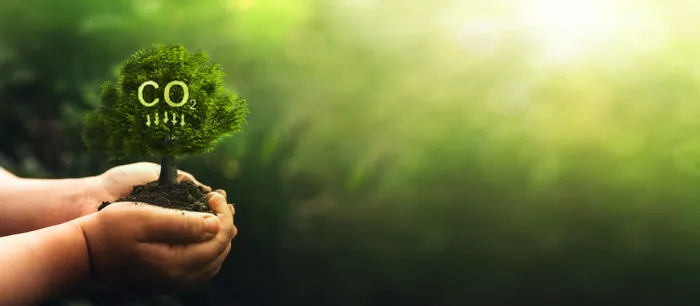 Hände halten einen kleinen Baum mit CO2-Symbol im hellen Sonnenlicht