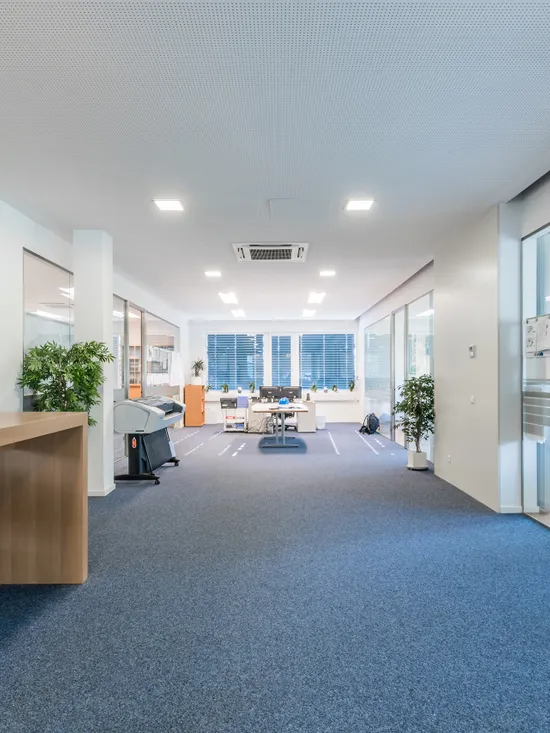 Modernes Bürointerieur mit Schreibtischen, Pflanzen und großen Fenstern