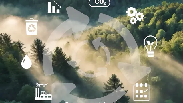 Nachhaltigkeitssymbole wie Recycling und Solarenergie über einem nebligen Wald