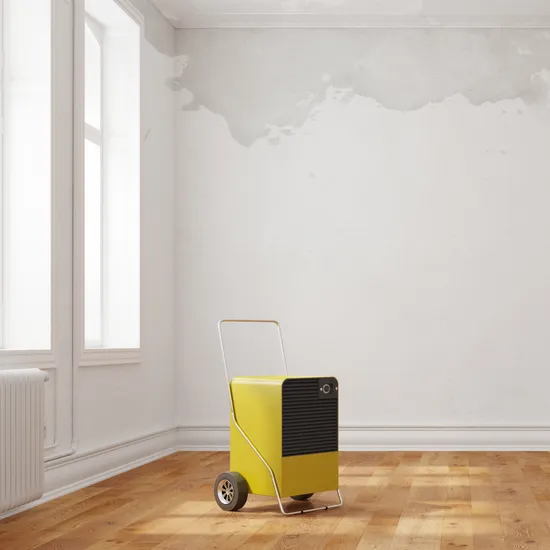 Gelber Luftentfeuchter auf Holzboden in einem Raum mit feuchten Wänden